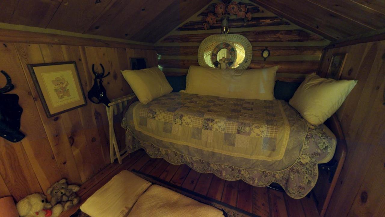 רד ריבר Cabin By The Creek With High Speed Wifi מראה חיצוני תמונה